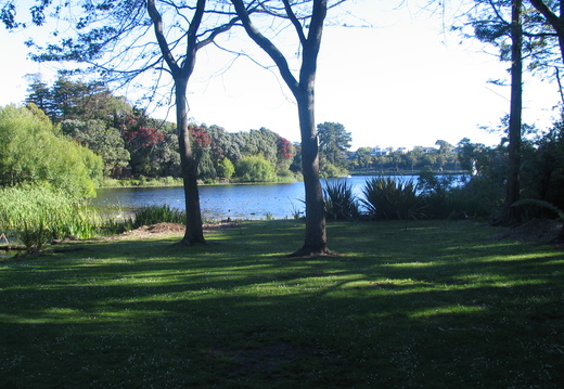 IMG 0202