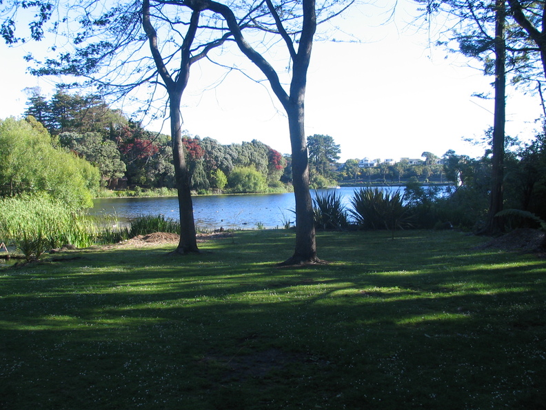 IMG 0202