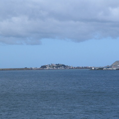 IMG 0228