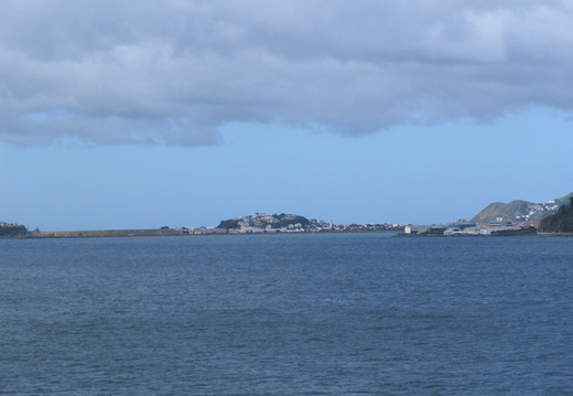 IMG 0228