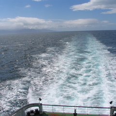 IMG 0230