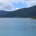 IMG 0236