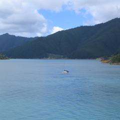 IMG 0236