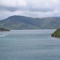 IMG 0237