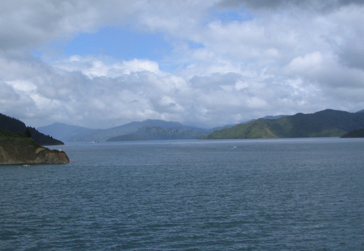 IMG 0240