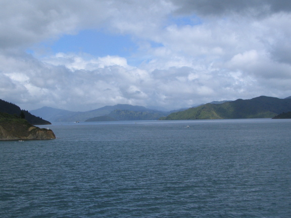 IMG 0240