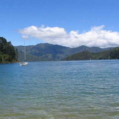 IMG 0248