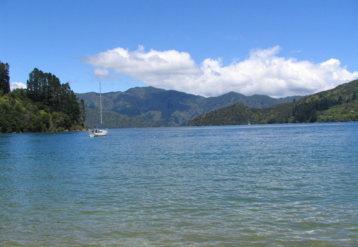 IMG 0248
