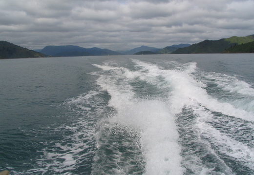 IMG 0252