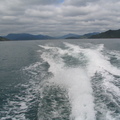 IMG 0252