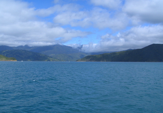 IMG 0254