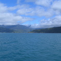 IMG 0254