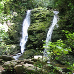 IMG 0255