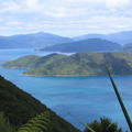 IMG 0262