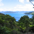 IMG 0263