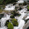 IMG 0264