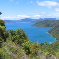 IMG 0265