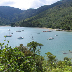 IMG 0278