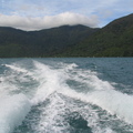IMG 0281