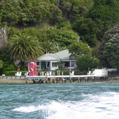 IMG 0282