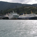 IMG 0287