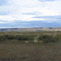 IMG 0293
