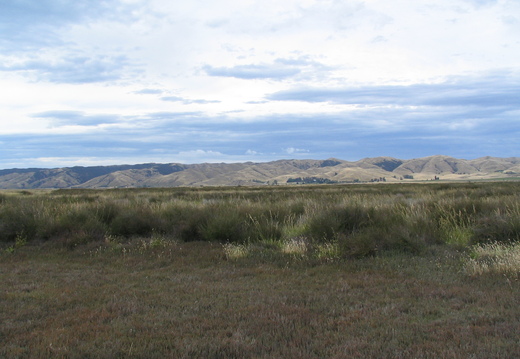 IMG 0293