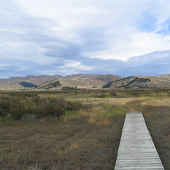IMG 0295