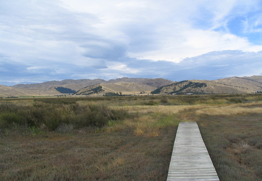 IMG 0295