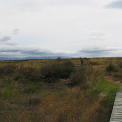 IMG 0300