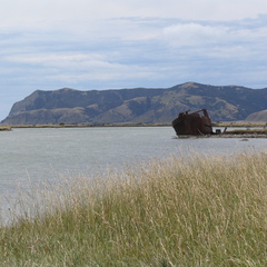 IMG 0302