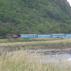 IMG 0306