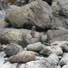 IMG 0312