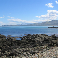 IMG 0315