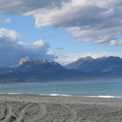 IMG 0317