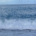 IMG 0324