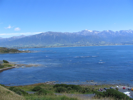 IMG 0338