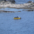 IMG 0340