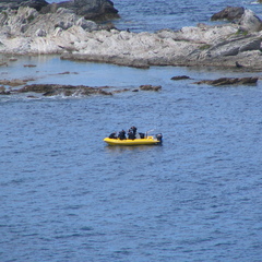 IMG 0340