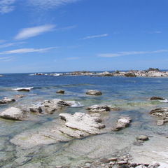 IMG 0343