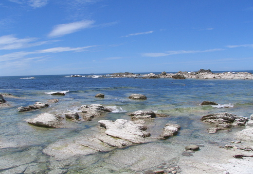 IMG 0343