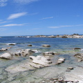 IMG 0343
