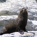 IMG 0344