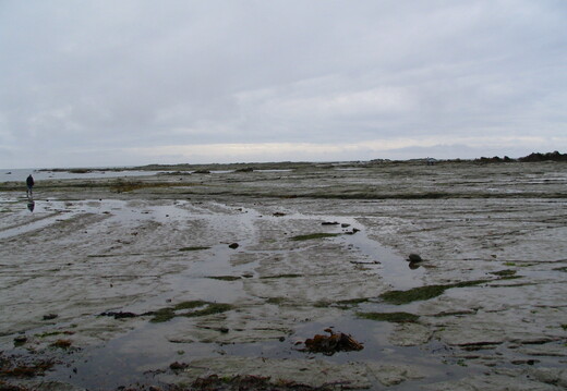 IMG 0347