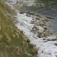 IMG 0349