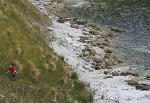IMG 0349