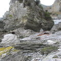 IMG 0350