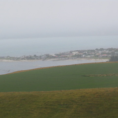 IMG 0351