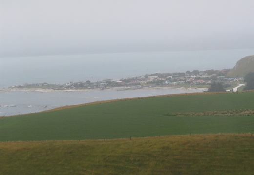 IMG 0351
