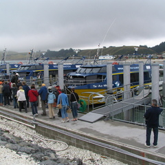 IMG 0354